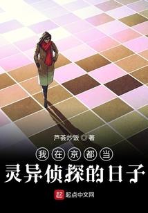 光之黑暗骑士